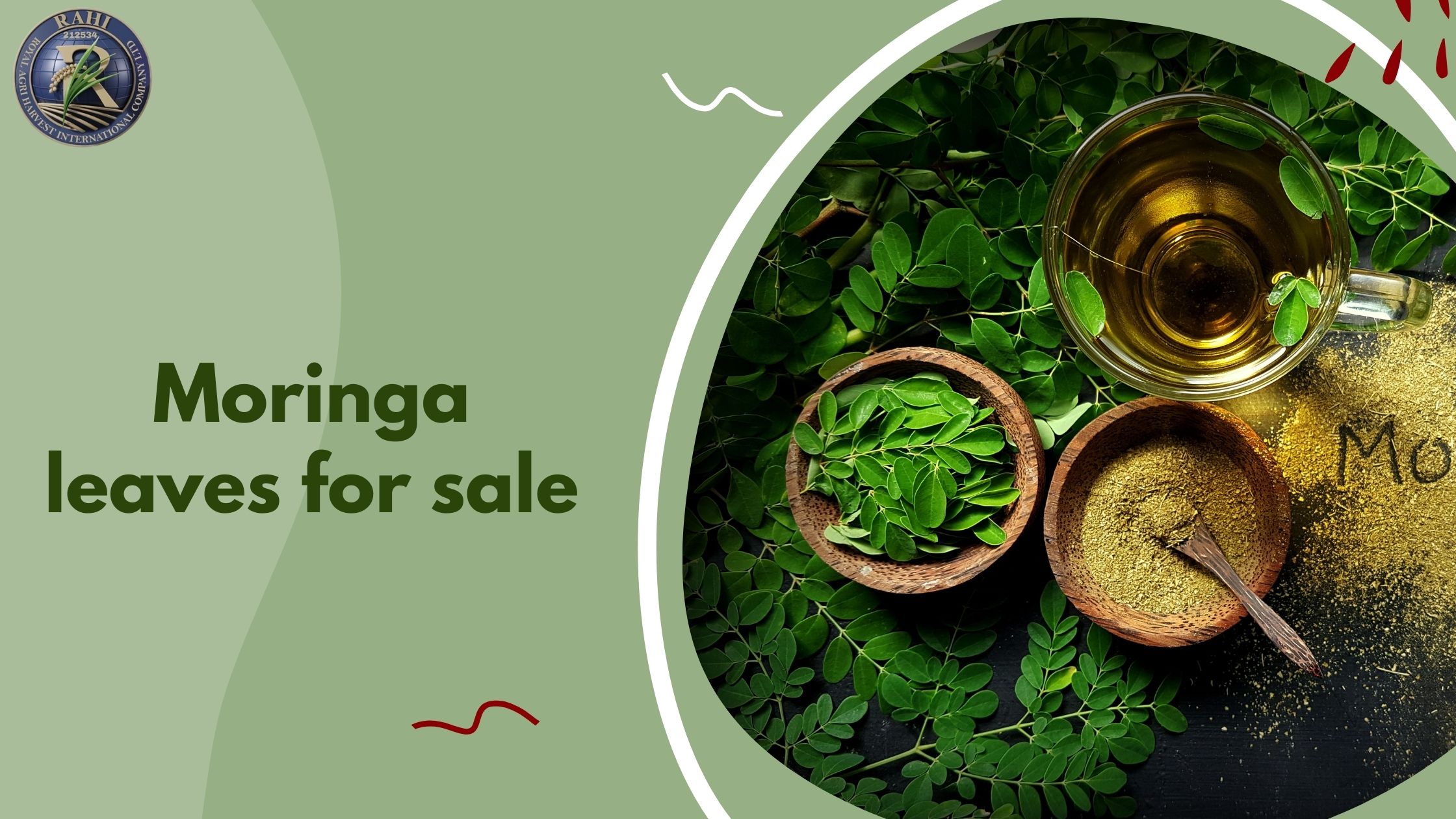Why You Should Choose Organic Moringa Leaves for Sale This Season