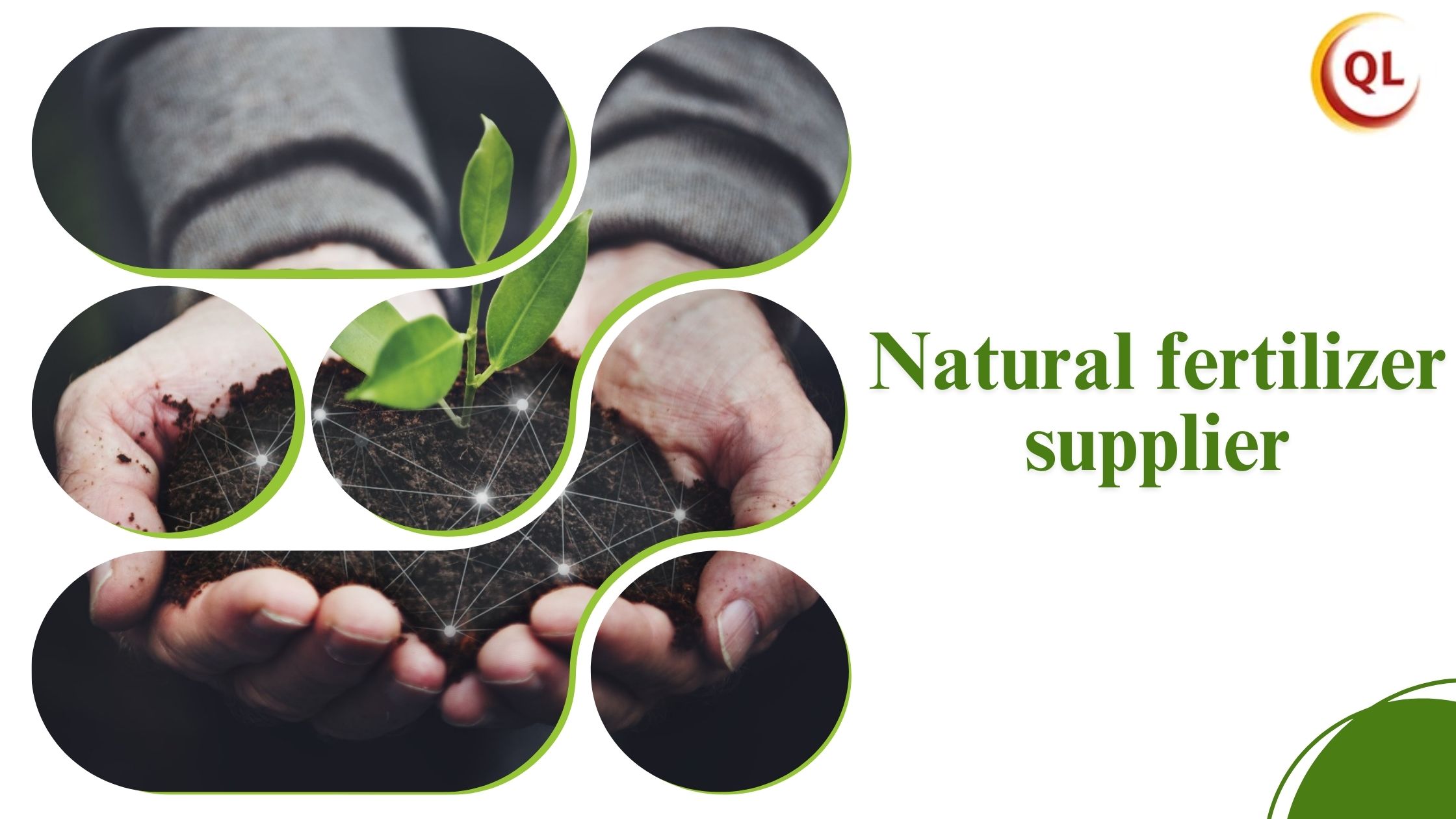 Why Working with a Trusted Natural Fertilizer Supplier Improves Crop Profitability