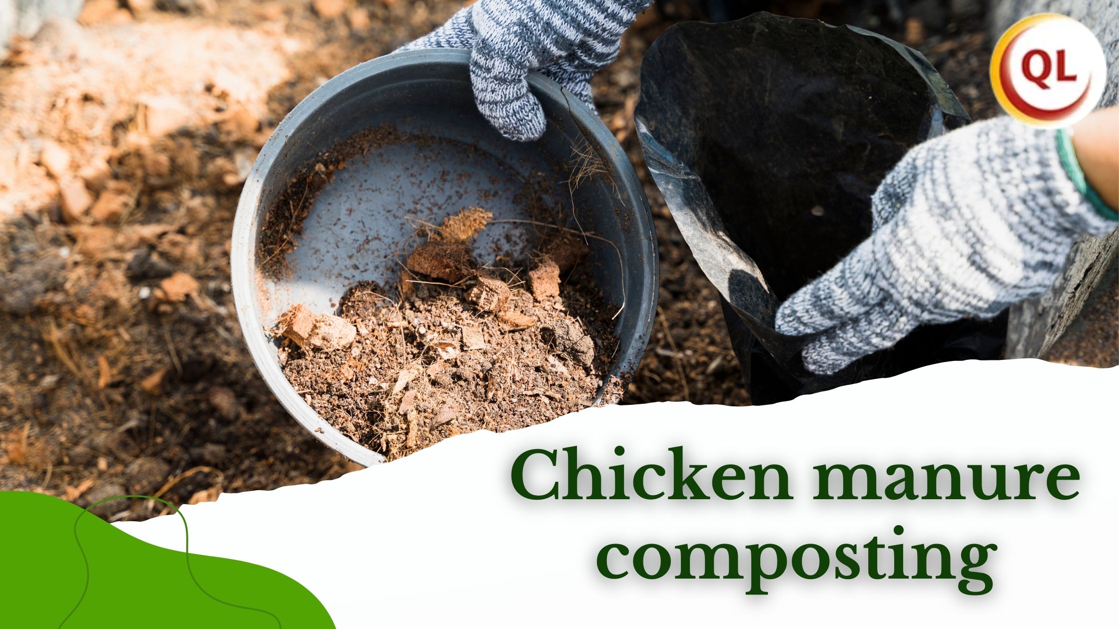 Common Mistakes in Chicken Manure Composting and How to Avoid Them